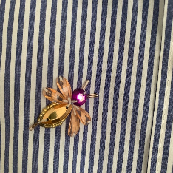 J. Crew RARE Blue / White Striped Button Up w Bug details - Picture 11 of 12